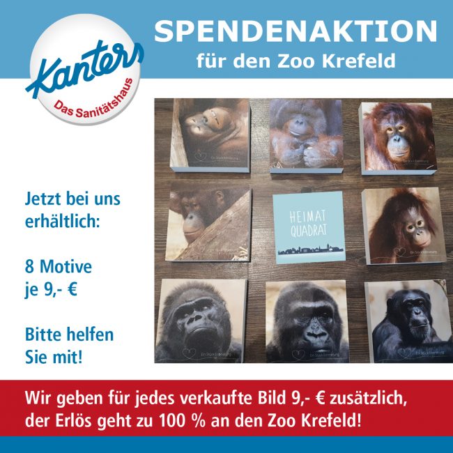 12894 Post Affen 1080px